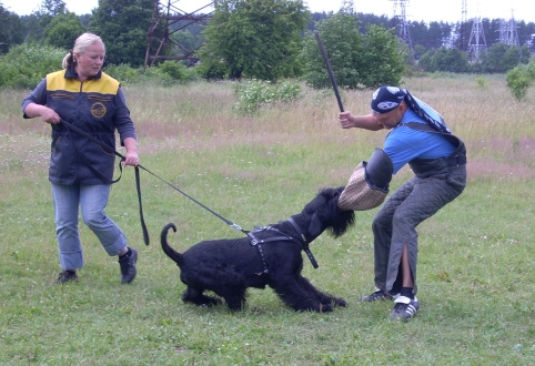 Training in Estonia 6/2007